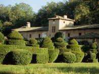 Box and yew topiary in the park